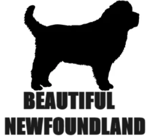 BEAUTIFUL NEWFOUNDLAND 